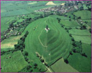 Tor